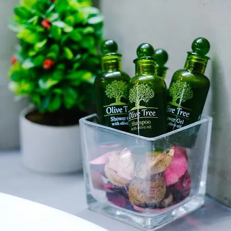 شقة Violet Center