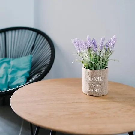Apartment Violet Center